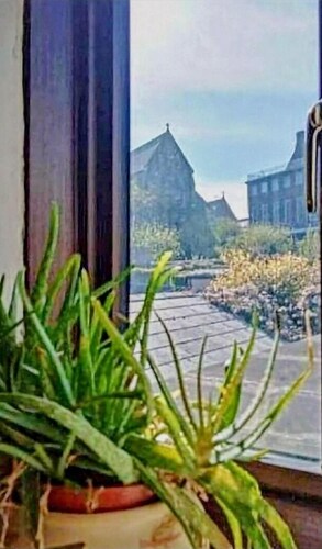 Wexford Townhouse with Private garden