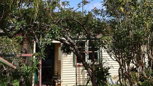 A house surrounded by lush greenery, with a clear sky above. - Tranquil Early 1900s Retreat in Auckland with Free Parking (Whenuapai)