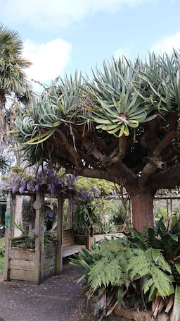 Property grounds. Tranquil Early 1900s Retreat in Auckland with Free Parking