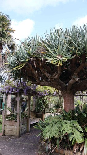Tranquil Early 1900s Retreat in Auckland with Free Parking