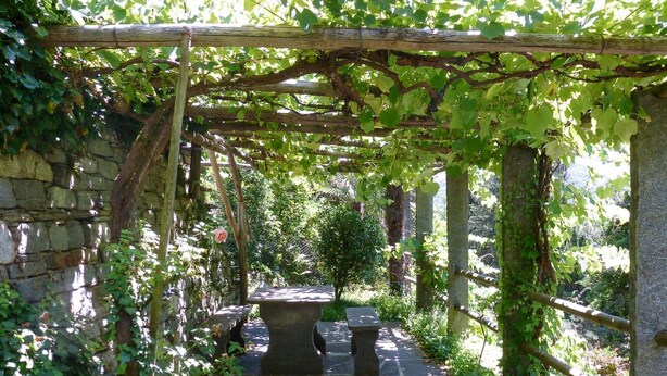 En sti af sten slynger sig gennem en have med et espalier dækket af efeu, stenbænke og et lille træ.