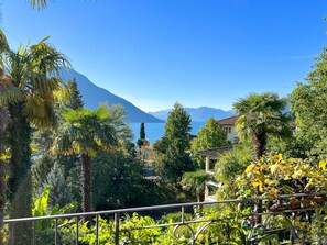 Property grounds - Casa Rustica unten by Interhome (Brissago)