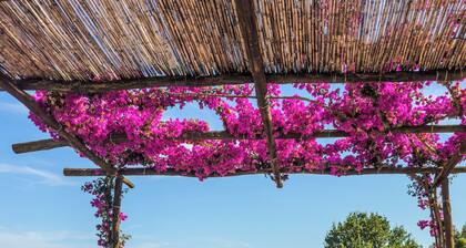 Villa Santa Croce - Exclusive Amalfi Coast Retreat