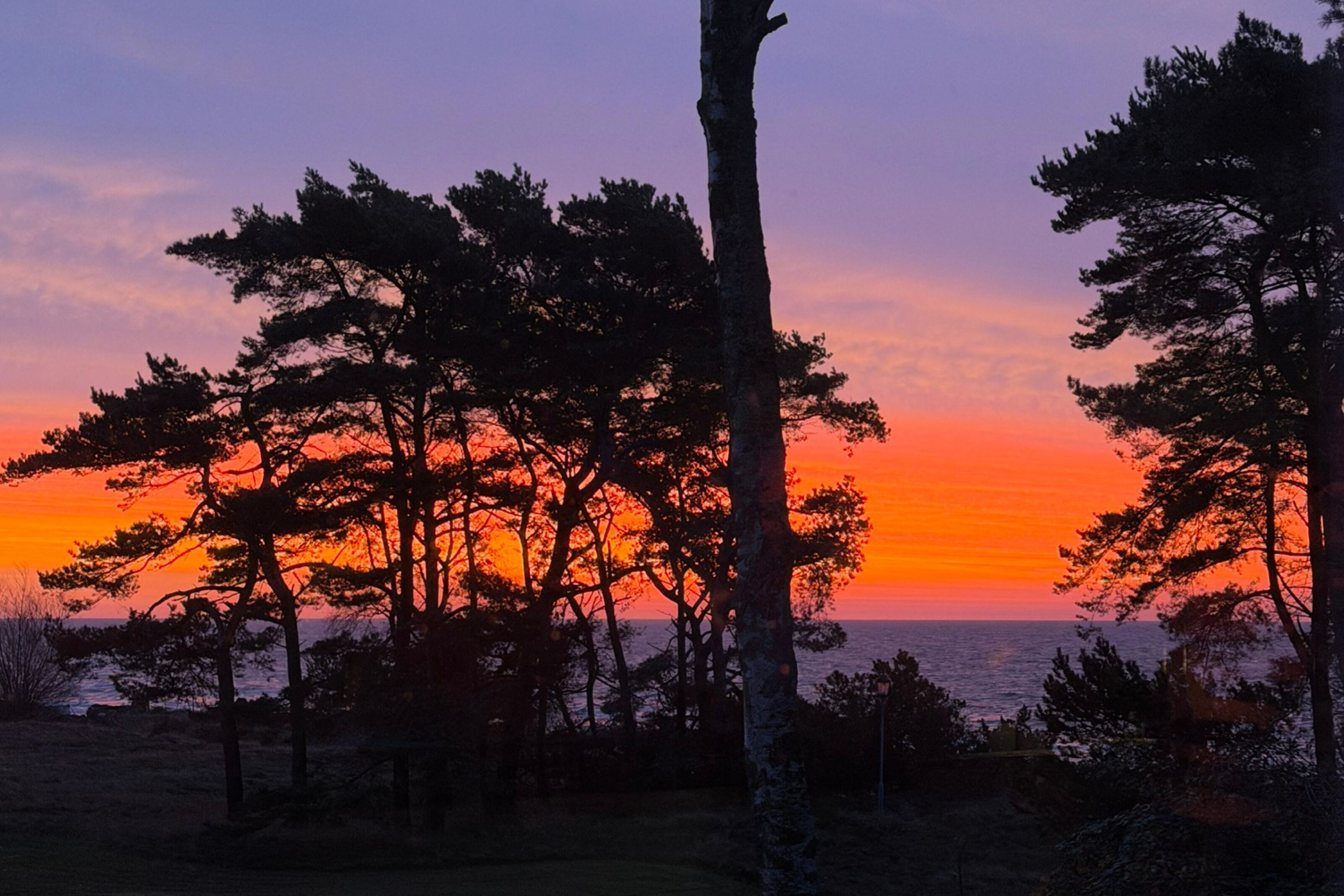 A sunset view with trees silhouetted against the sky.