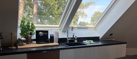 Oven, stovetop, dishwasher