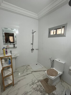 Chuveiro, secador de cabelo, toalhas de banho, sabonete