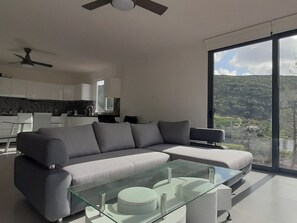 Televisión 