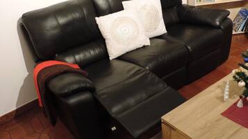 TV, fireplace, DVD player