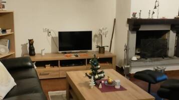 TV, fireplace, DVD player