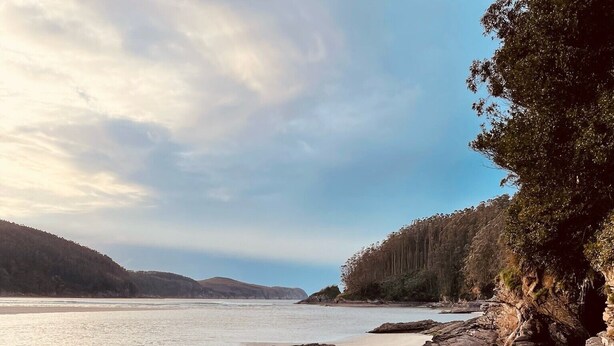 A rocky beach with clear water and distant hills.