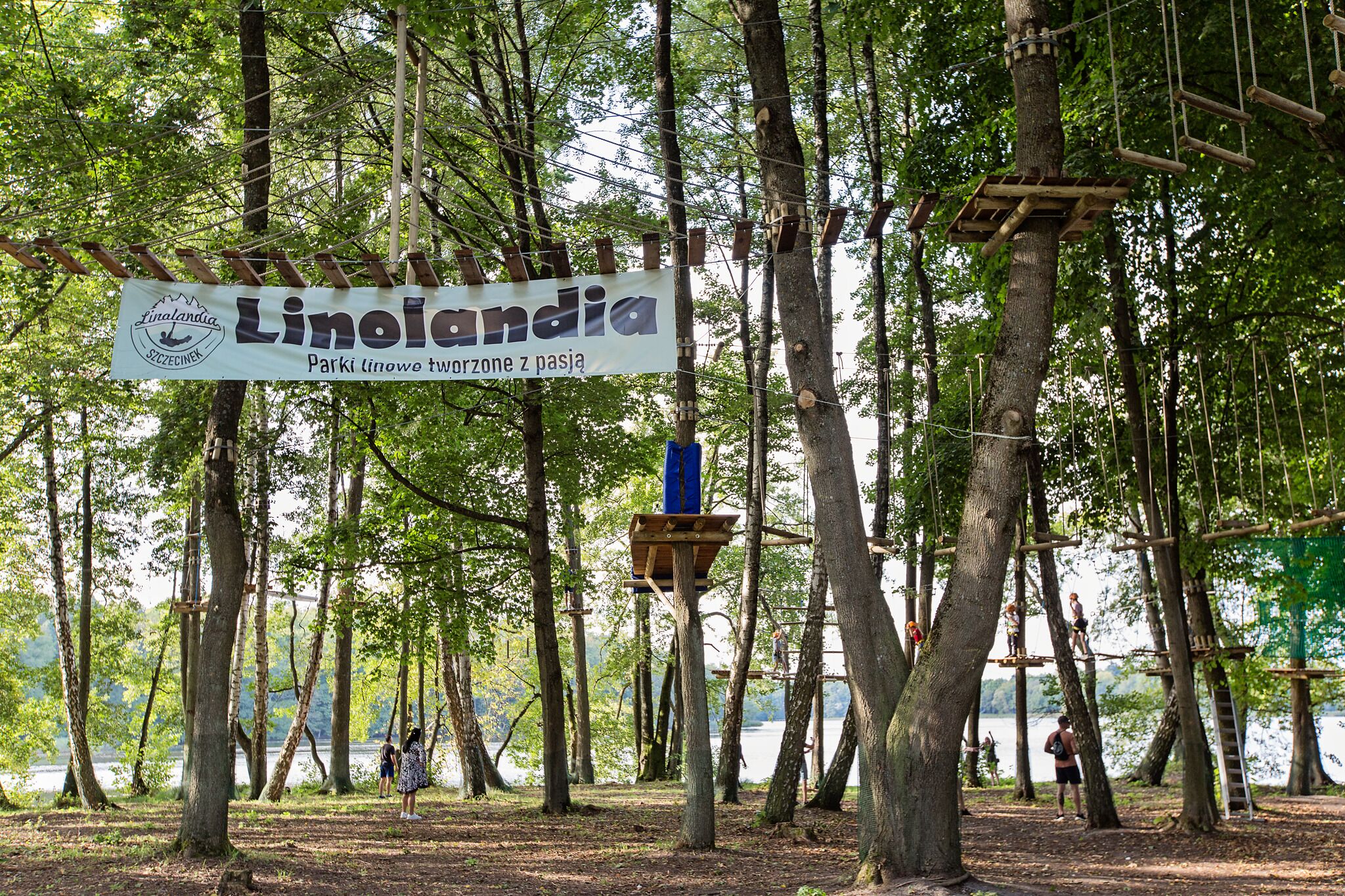 A rope bridge and a sign reading "Linolandia" in a wooded area.