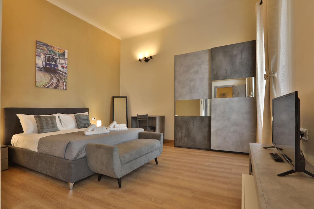 A modern bedroom with a large bed, a flat-screen TV, and a built-in wardrobe.