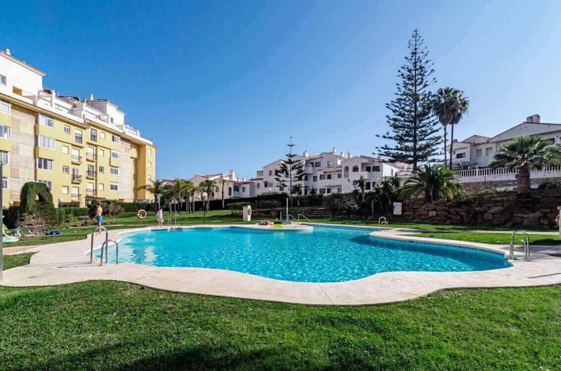 A swimming pool surrounded by a well-maintained lawn, with buildings in the background.