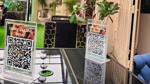 Un restaurant décoré de plantes suspendues et doté de codes QR permettant d’accéder au menu en ligne.