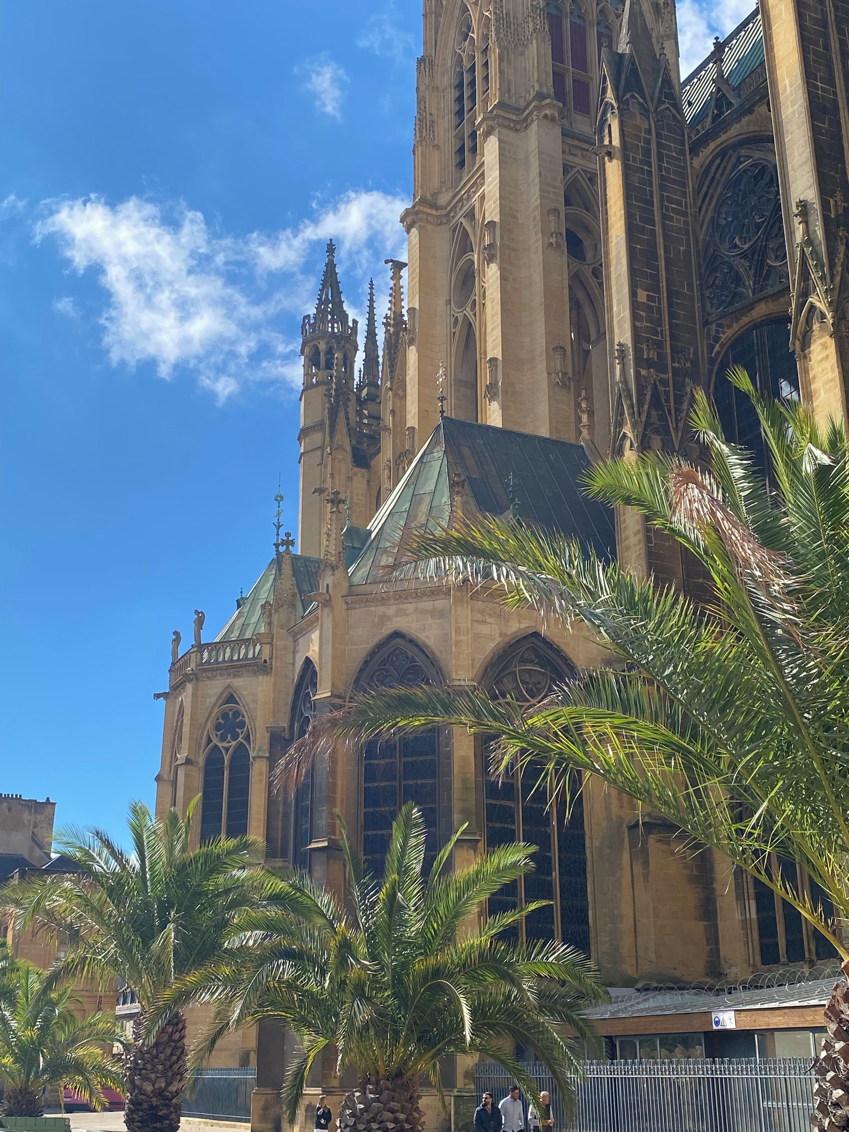 A historic cathedral with Gothic architecture, featuring pointed arches and a large rose window. Palm trees are in the foreground, and there are people walking around.