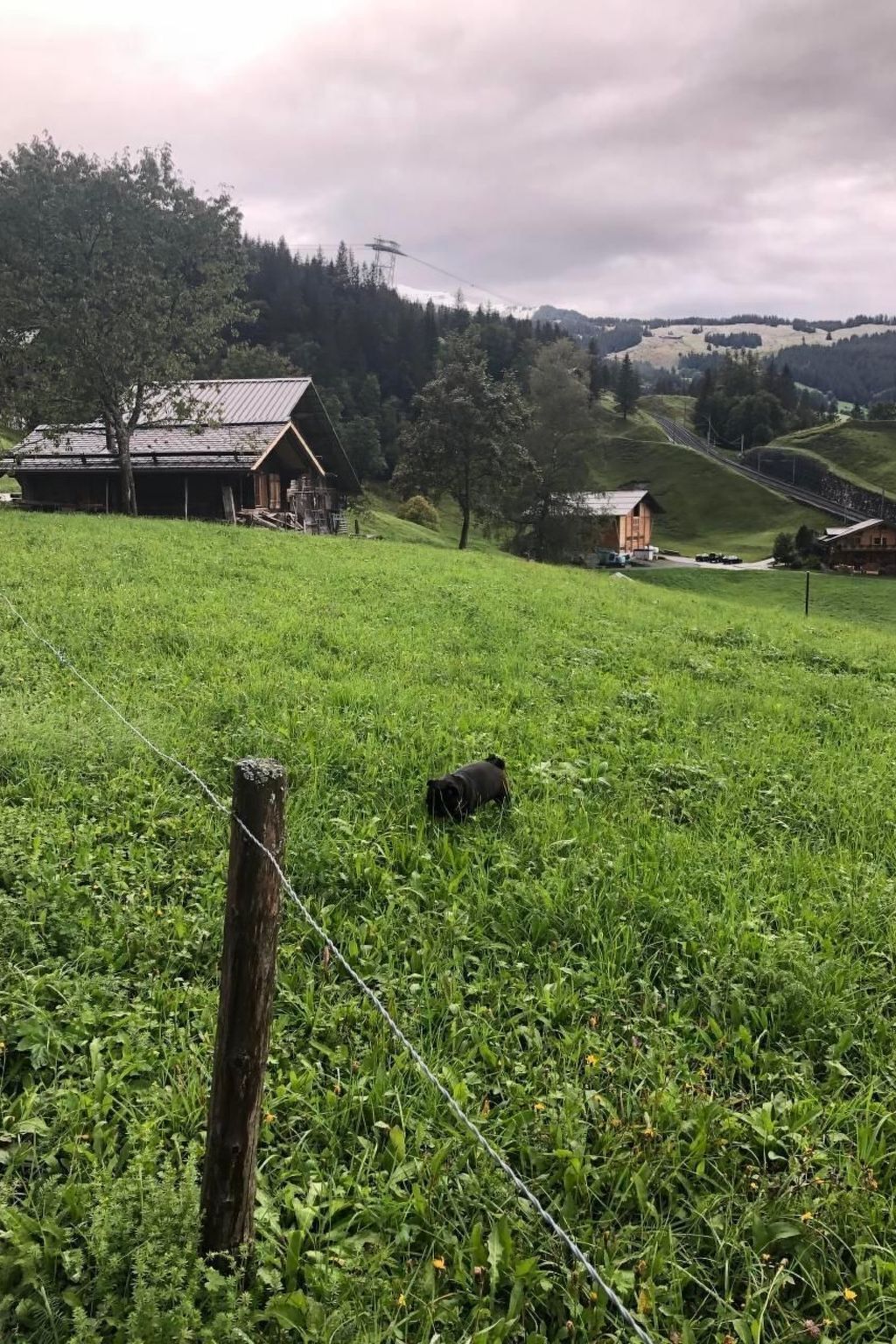 Áreas de la propiedad