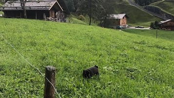 Áreas de la propiedad