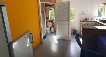 Bellavista - Blue Lizard Studio