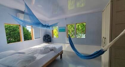Bellavista - Blue Lizard Studio