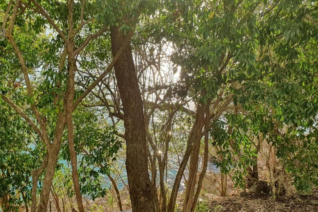 Apartment, 1 Bedroom, Accessible, Ocean View | Miscellaneous