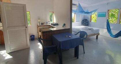 Bellavista - Blue Lizard Studio