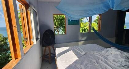 Bellavista - Blue Lizard Studio