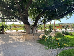 Unclassified image, 3 of 29, button - in Noto mit Terrasse, Garten und gemeinsamem Pool by Interhome (Calabernardo)