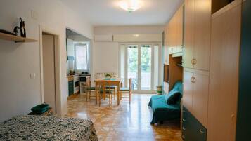 1 bedroom, Internet
