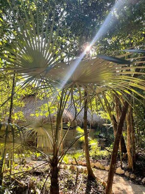 Casa, 4 quartos, sacada, vista para o jardim | Área da propriedade