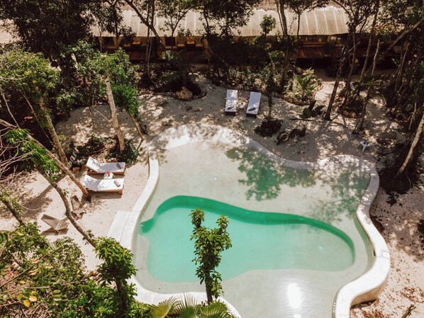 Shared Dormitory, 1 Bedroom, Garden View | Pool | Outdoor pool - Room-casa Arkaana Jungle Ecocasita Share (Tulum)