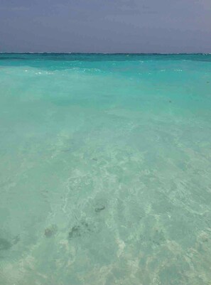 Shared Dormitory, 1 Bedroom, Garden View | Beach - Room-casa Arkaana Veranda One-suite (Tulum)