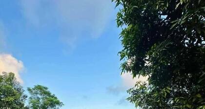 Finch Tangalle
