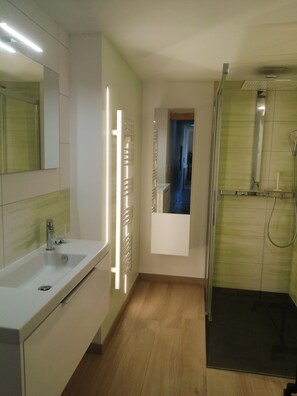 Shower, hair dryer, toilet paper - Gite - Detached house. (Ingenheim)