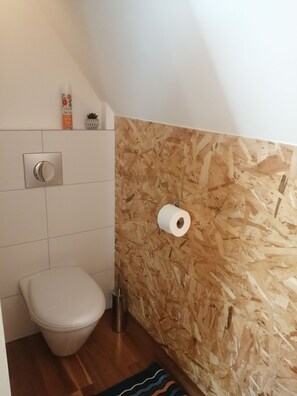 Shower, hair dryer, toilet paper - Gite - Detached house. (Ingenheim)