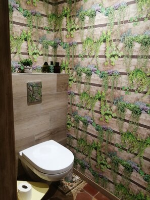 Shower, hair dryer, toilet paper - Gite - Detached house. (Ingenheim)