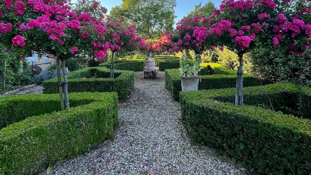 A garden pathway with hedges and bougainvillea trees. - Cosy one bedroom flat in a country house. (Bromham)