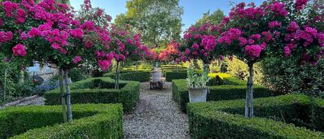 Overnattingsstedets uteområder