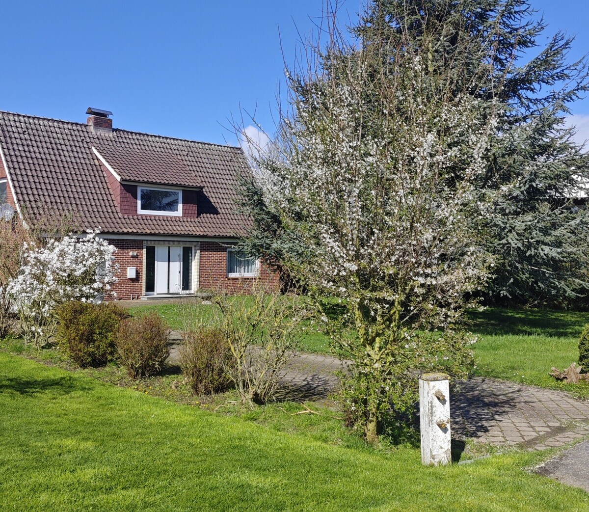 Imagem do perfil do anfitrião