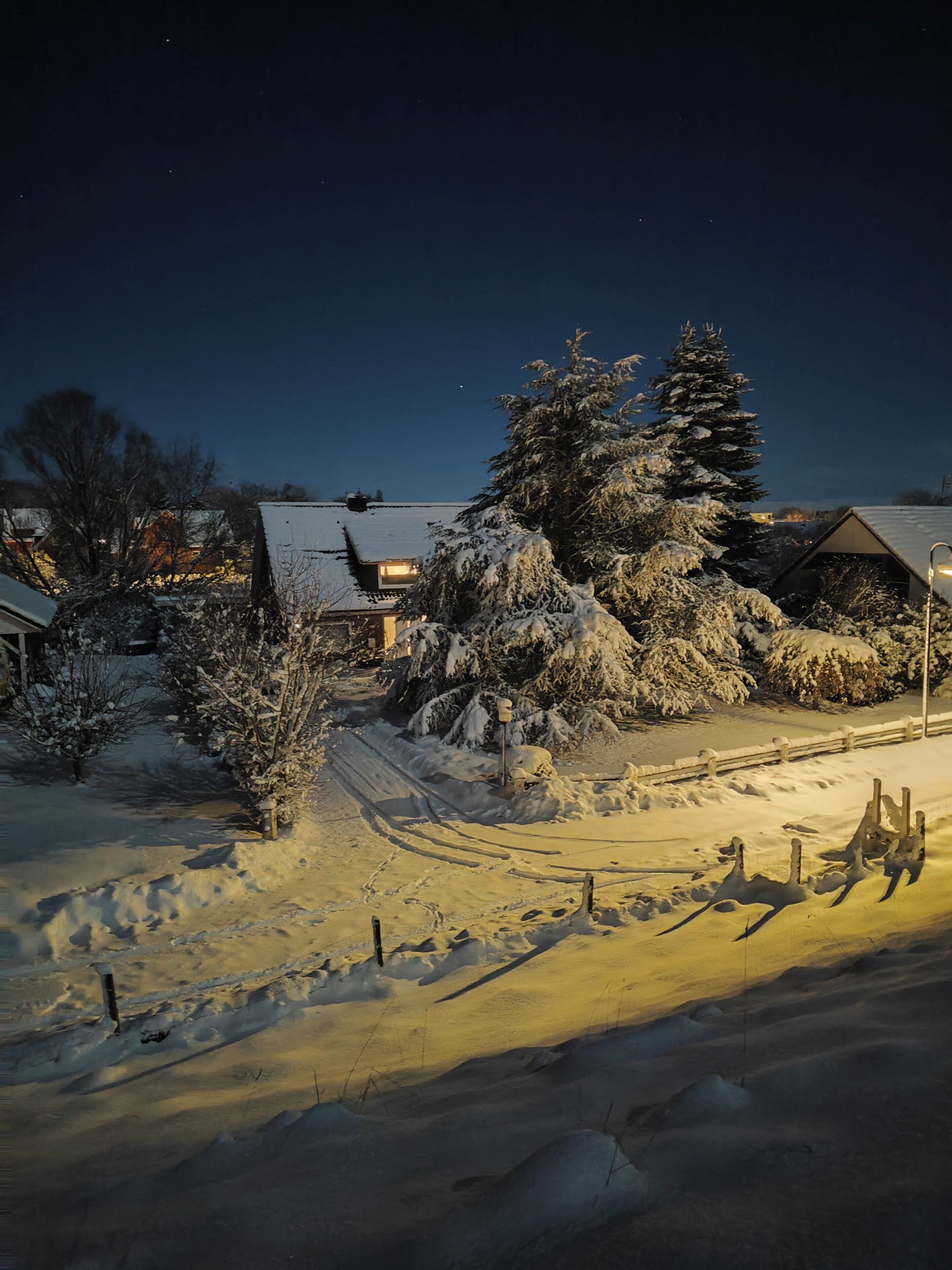 Eine verschneite Wohngegend bei Nacht mit Häusern, einem mit Schnee bedeckten Baum und einer Straßenlaterne.