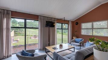 Smart TV, chimenea y libros
