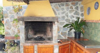Villa in La Barrosa / Green Frog