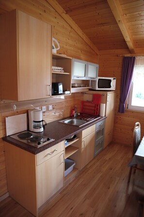 Fridge, microwave, stovetop, coffee/tea maker