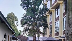 Un sendero conduce a un edificio con una zona de estar al aire libre cubierta, rodeado de setos cuidados y palmeras.