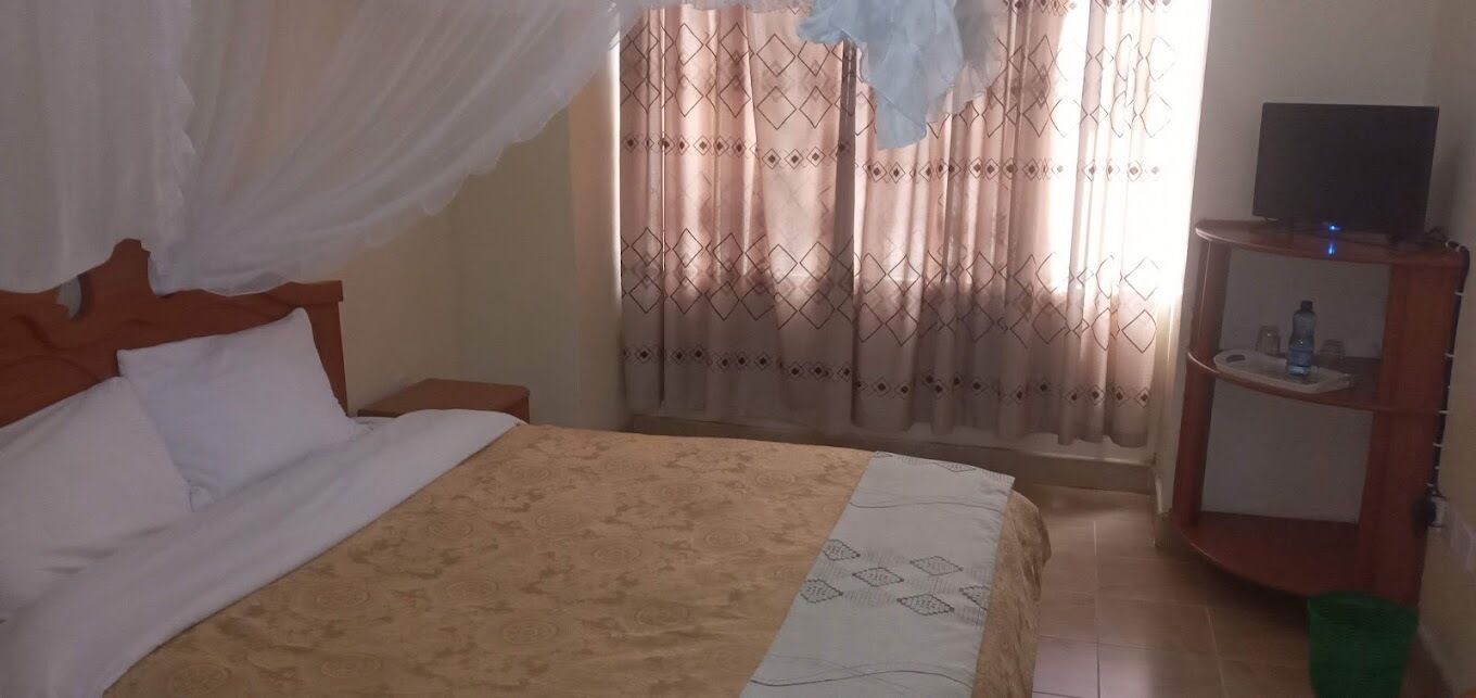 A neatly made bed with a patterned bedspread, a bedside table with a lamp, and a television on a stand.