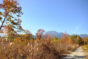 Double Room, Mountain View | Miscellaneous