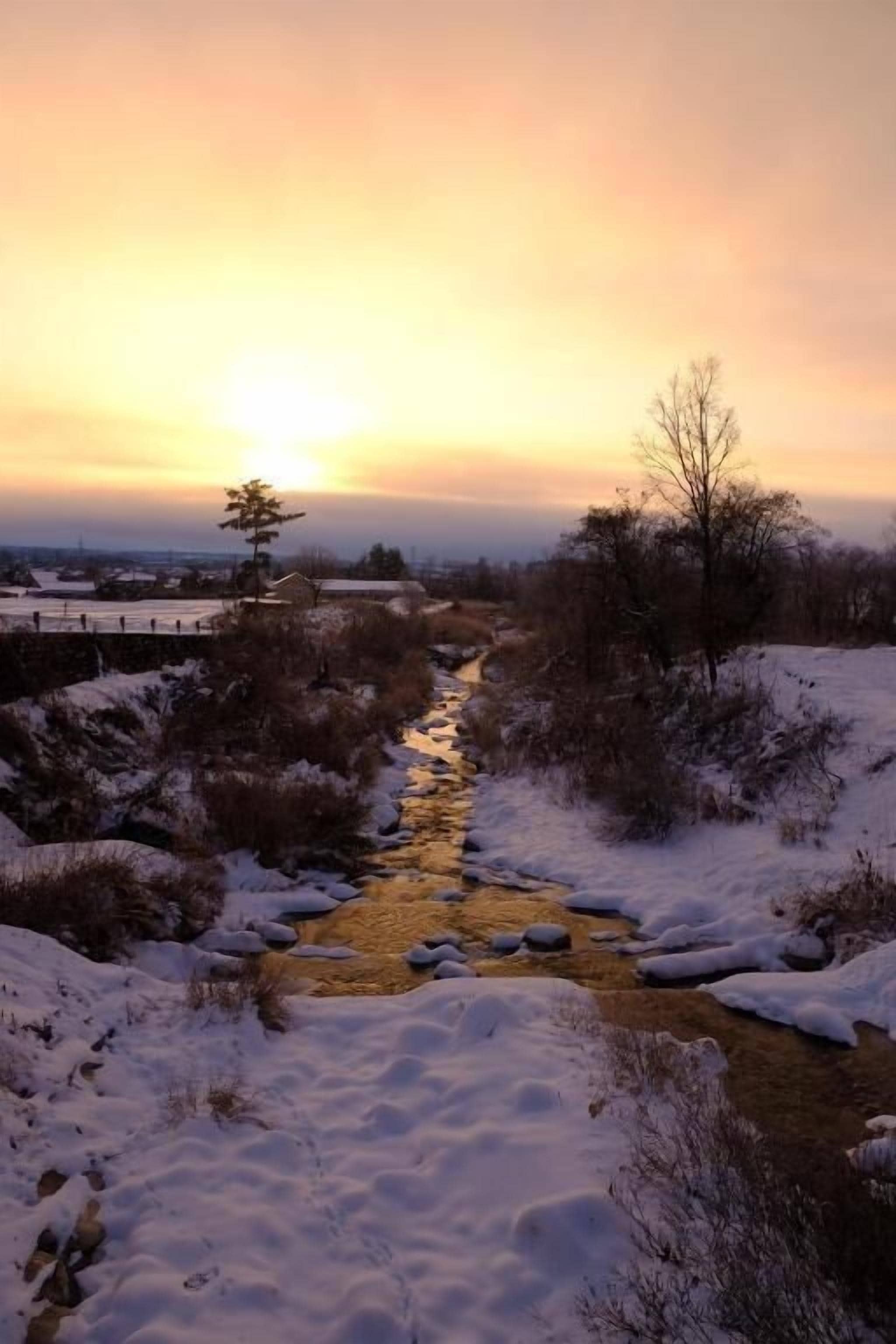 Kamar Double, pemandangan gunung | Lain-lain