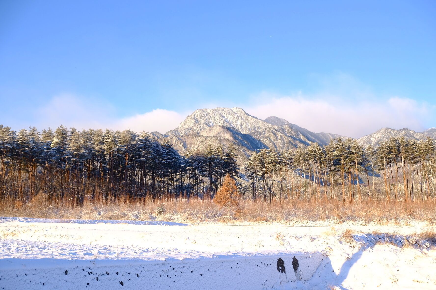 雙人房, 山景 | 其他設施