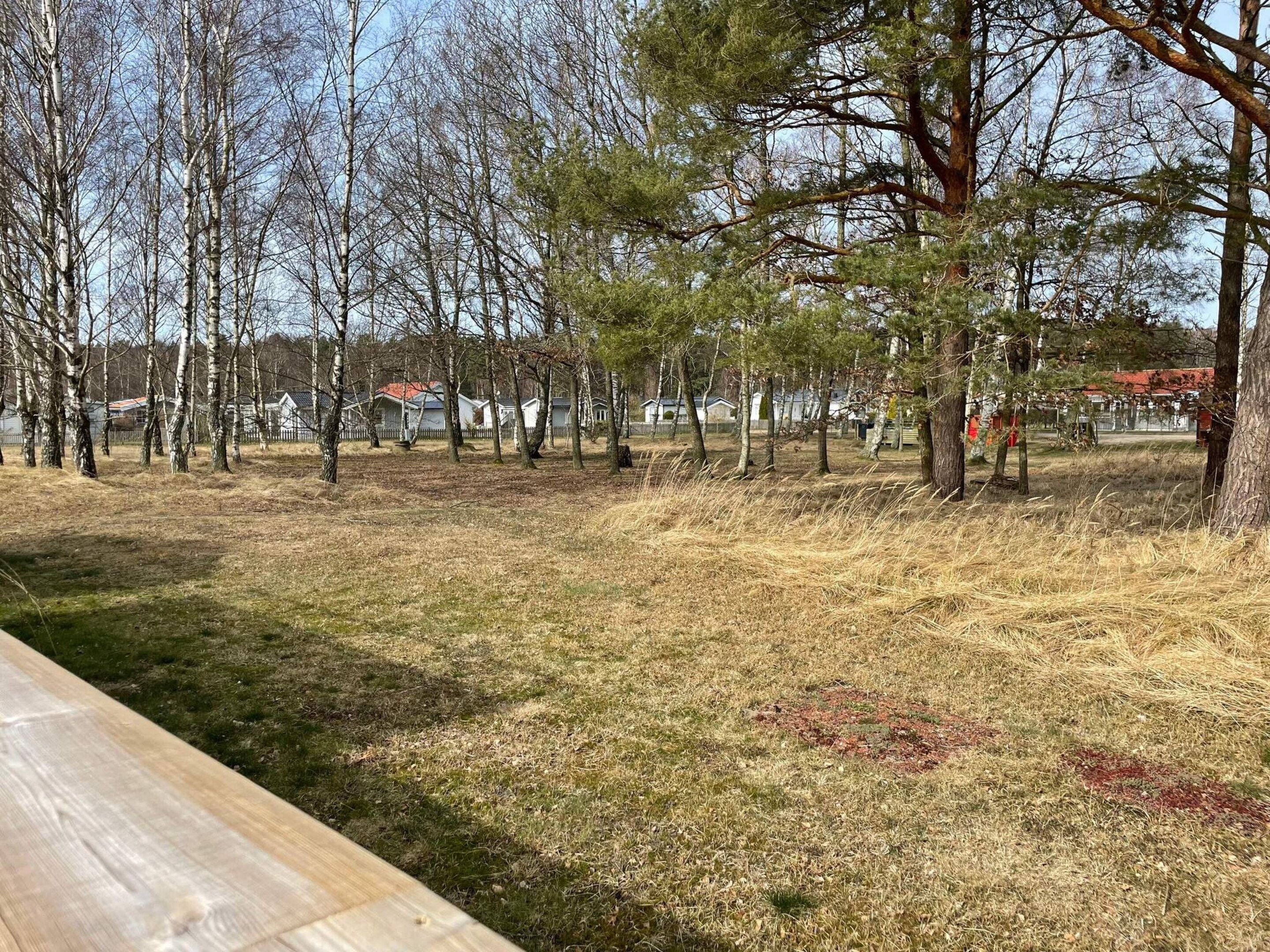 En park med ett picknickbord, träd och hus i bakgrunden.