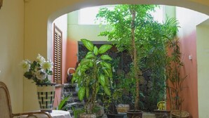 Un jardin intérieur agrémenté de différentes plantes en pot et d’un mur en pierre.
