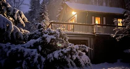 Waldhaus im Erzgebirge